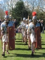 200_0087_img.jpg